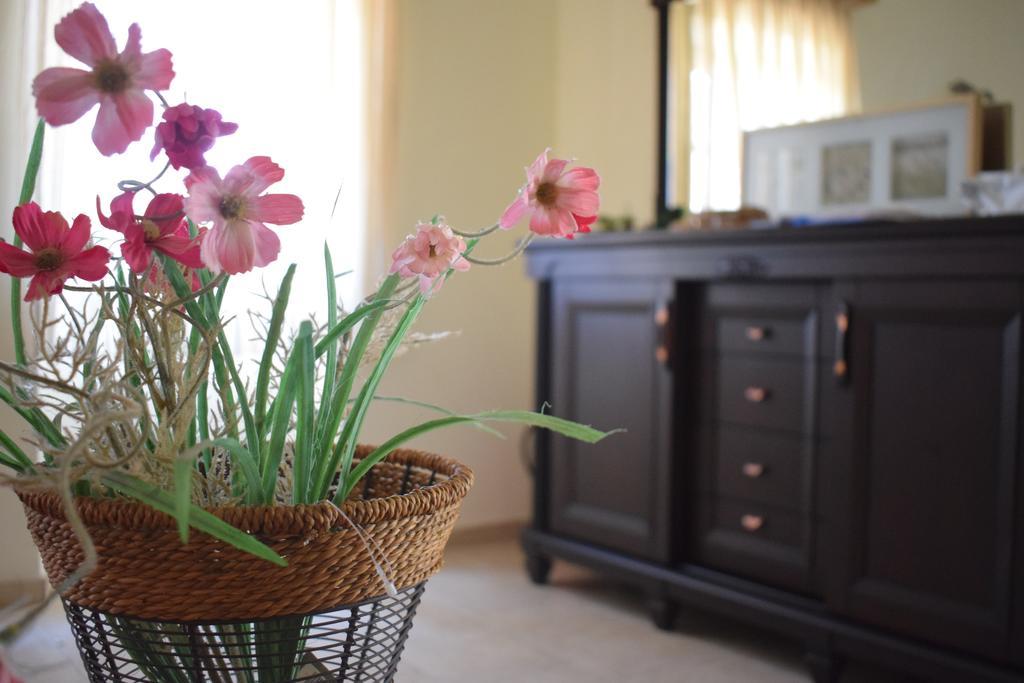 Olive Villas Anapaftíria Kültér fotó